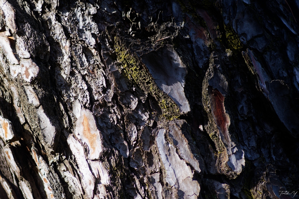 _D7K1922_DxO-topaz-remove.jpeg