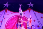 Cirques aux étoiles - La Valette 2025